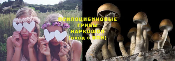 дживик Алексин