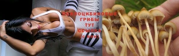 марки lsd Алзамай