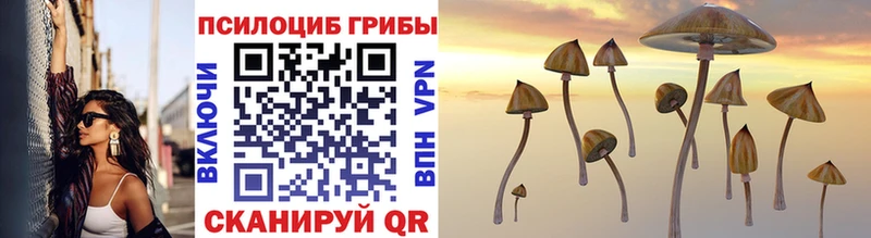 Псилоцибиновые грибы Magic Shrooms  Воткинск 