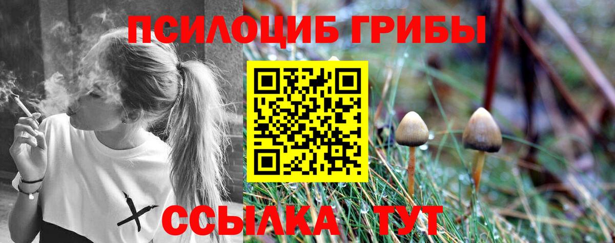Галлюциногенные грибы прущие грибы Воткинск